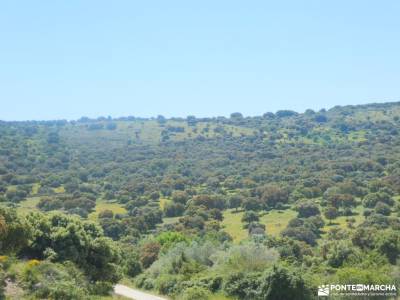 Embalse de Pedrezuela y Cueva de Peña Rubia;las dehesas de cercedilla camorritos rio salado parque n